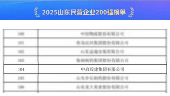 喜報(bào)！公司榮登“2025山東民營(yíng)企業(yè)200強(qiáng)榜單”
